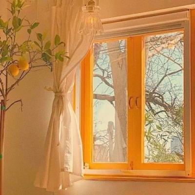 世界杯足球比赛